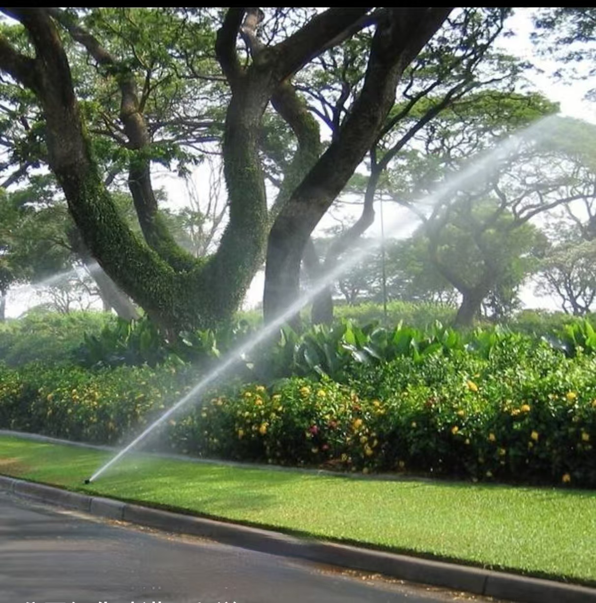 中吴宾馆灌溉系统