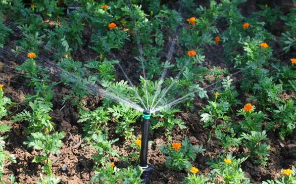 公园草坪喷灌系统